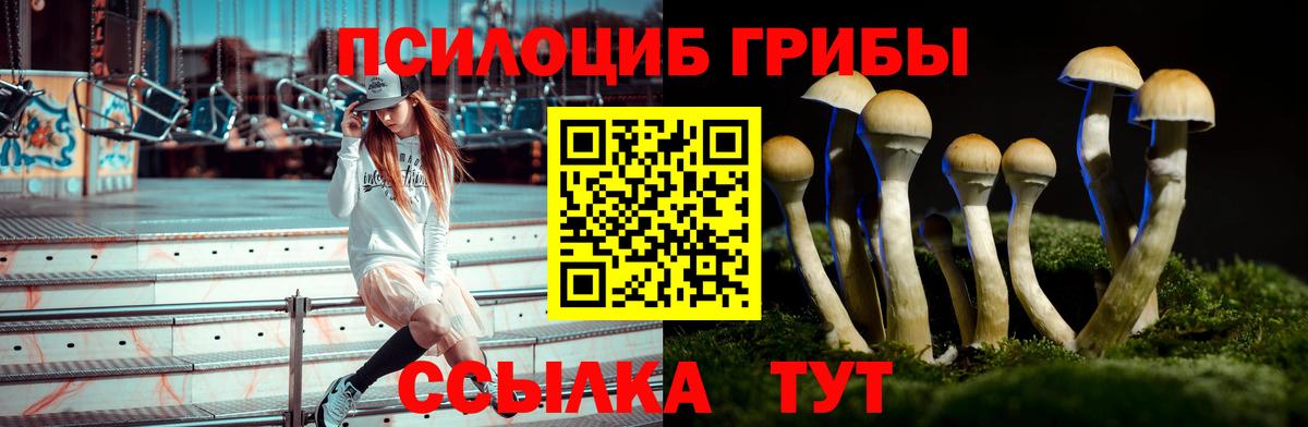 Галлюциногенные грибы ЛСД  Вход с VPN  Октябрьский 